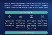 مجلس الأمن السيبراني