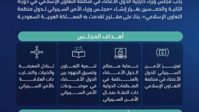 مجلس الأمن السيبراني